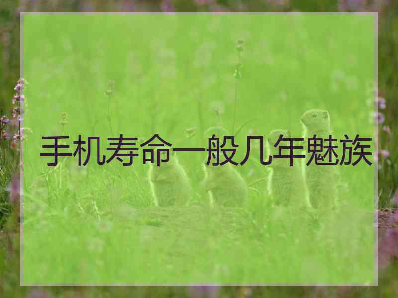 手机寿命一般几年魅族