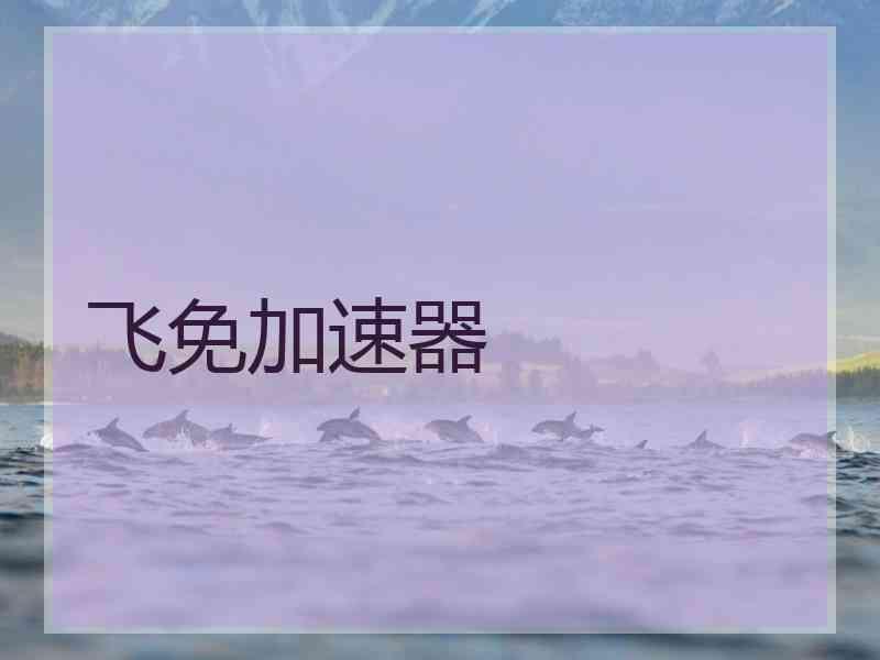 飞免加速器