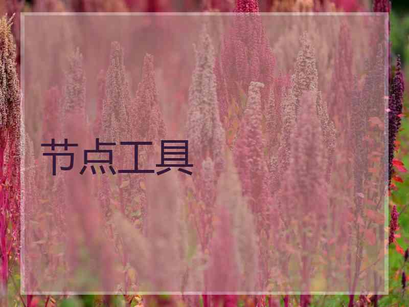 节点工具