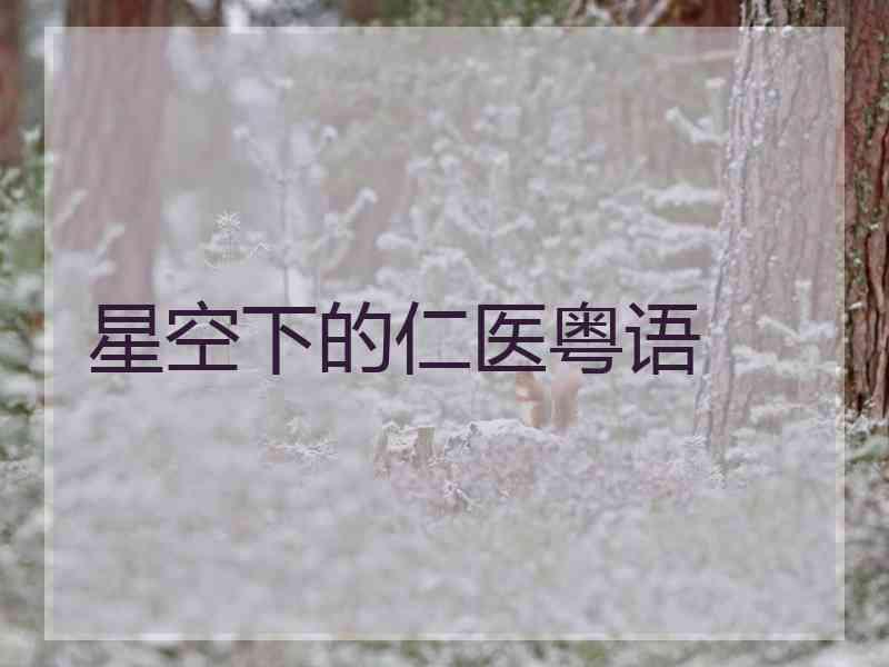 星空下的仁医粤语