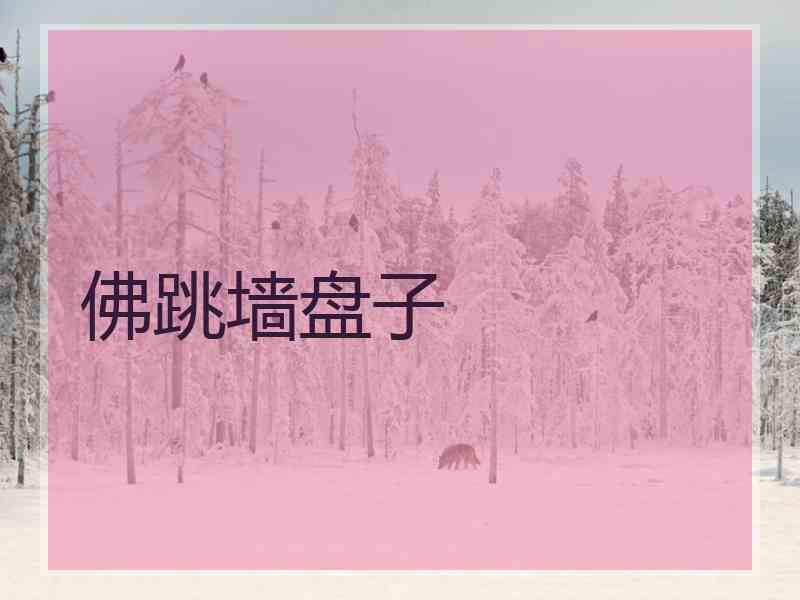 佛跳墙盘子