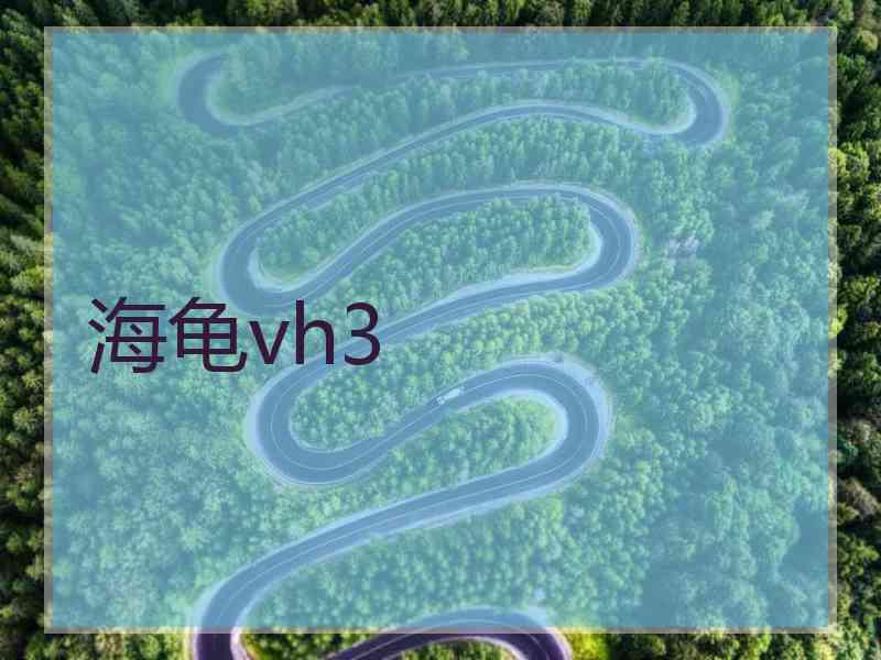 海龟vh3