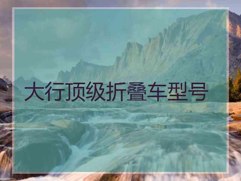 大行顶级折叠车型号