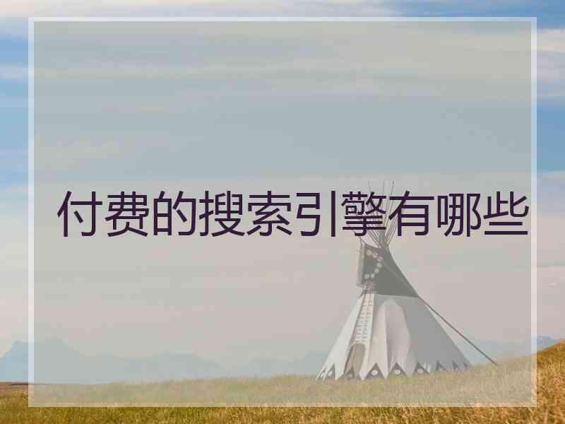 付费的搜索引擎有哪些