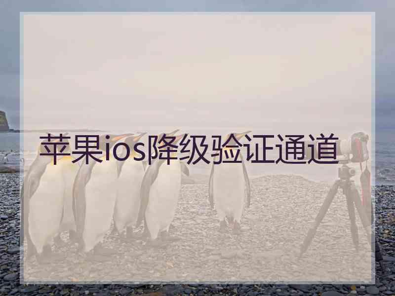 苹果ios降级验证通道