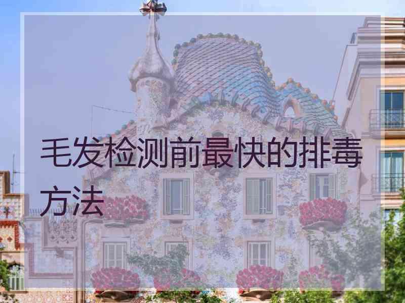 毛发检测前最快的排毒方法