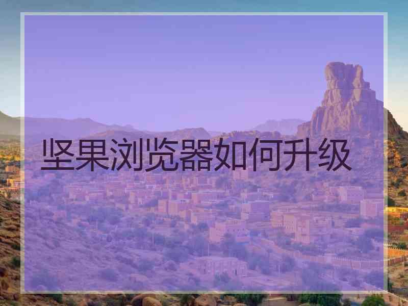 坚果浏览器如何升级