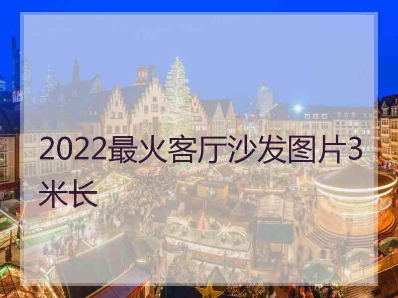2022最火客厅沙发图片3米长