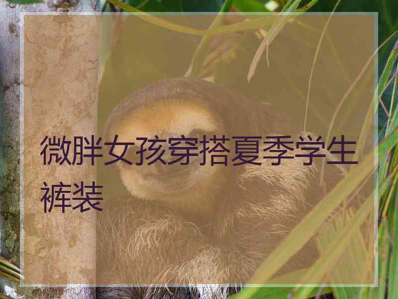 微胖女孩穿搭夏季学生裤装