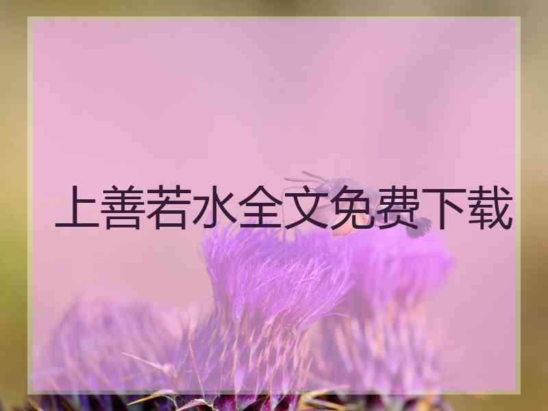 上善若水全文免费下载