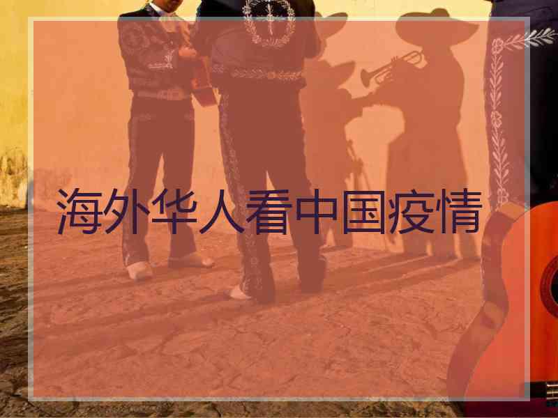 海外华人看中国疫情