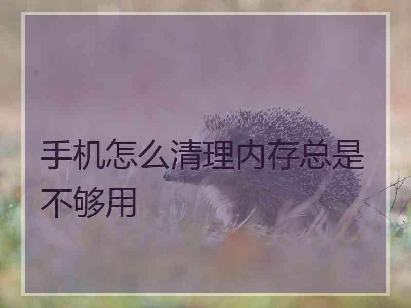 手机怎么清理内存总是不够用