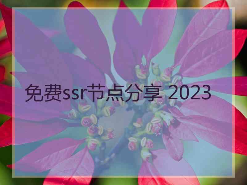 免费ssr节点分享 2023