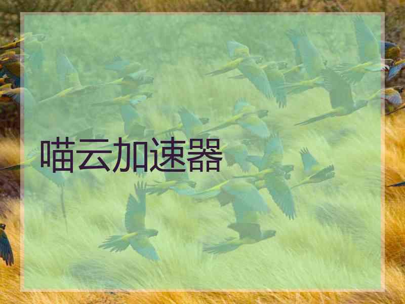 喵云加速器