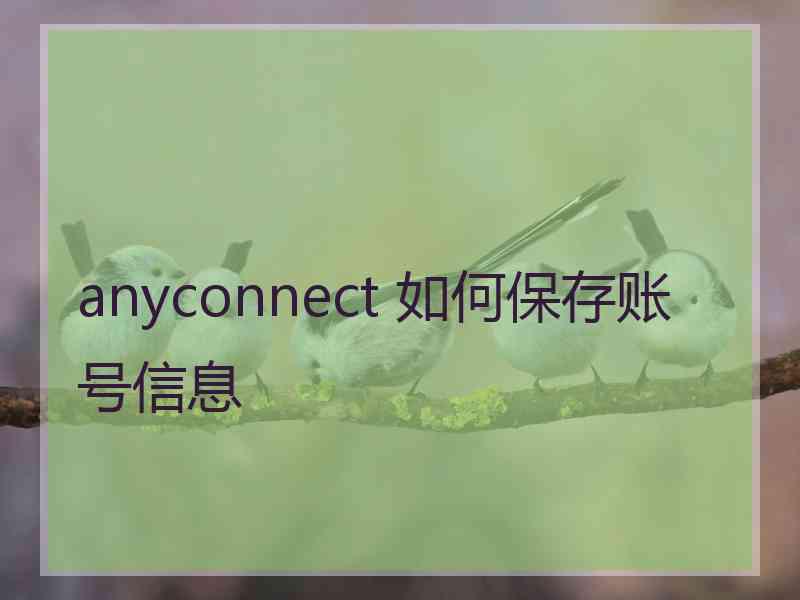 anyconnect 如何保存账号信息