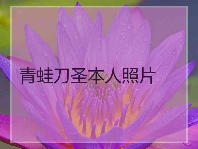 青蛙刀圣本人照片