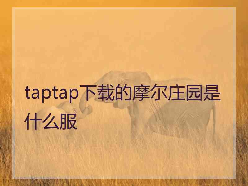 taptap下载的摩尔庄园是什么服