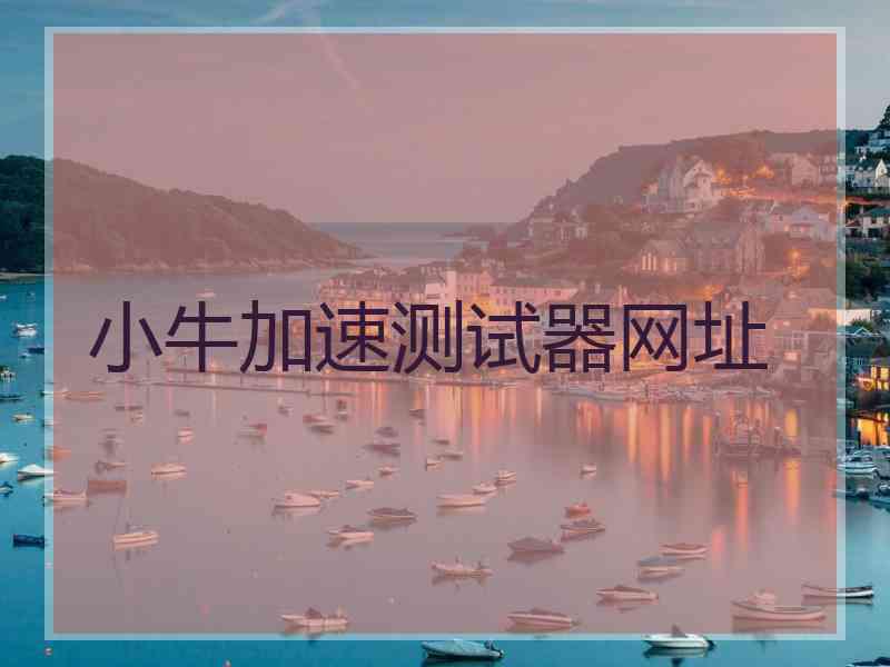小牛加速测试器网址