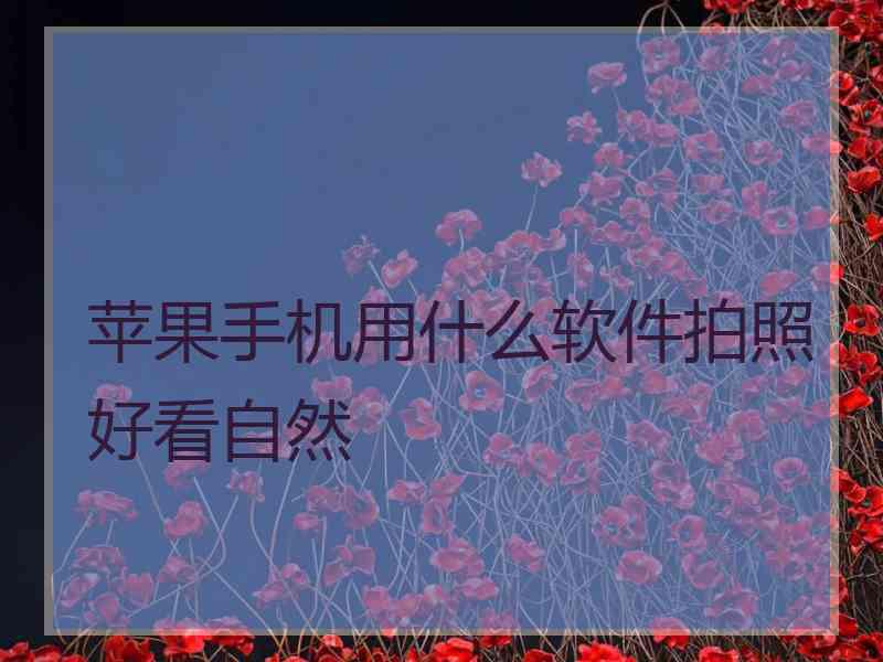 苹果手机用什么软件拍照好看自然
