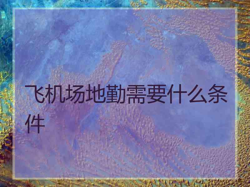 飞机场地勤需要什么条件