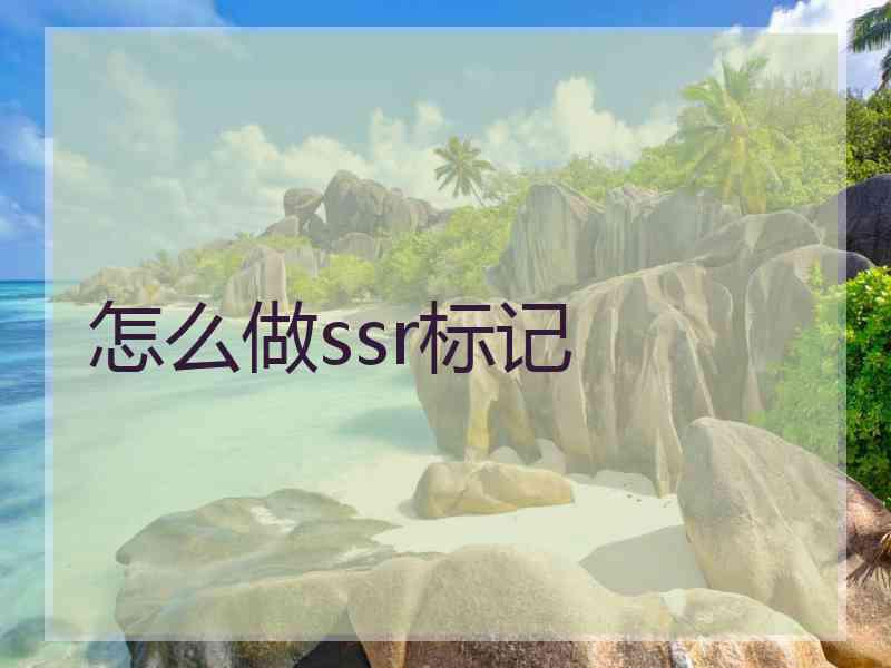 怎么做ssr标记