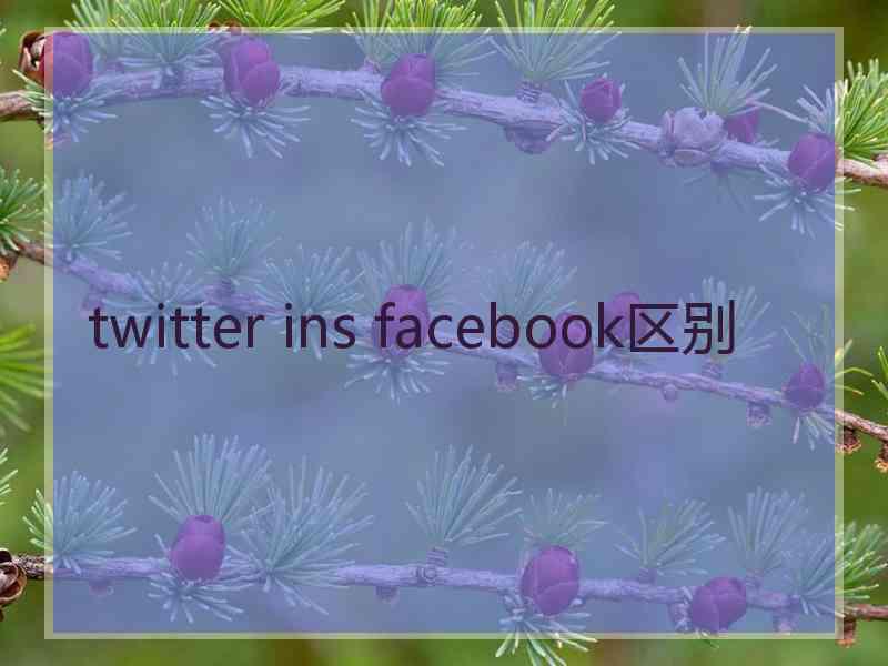 twitter ins facebook区别