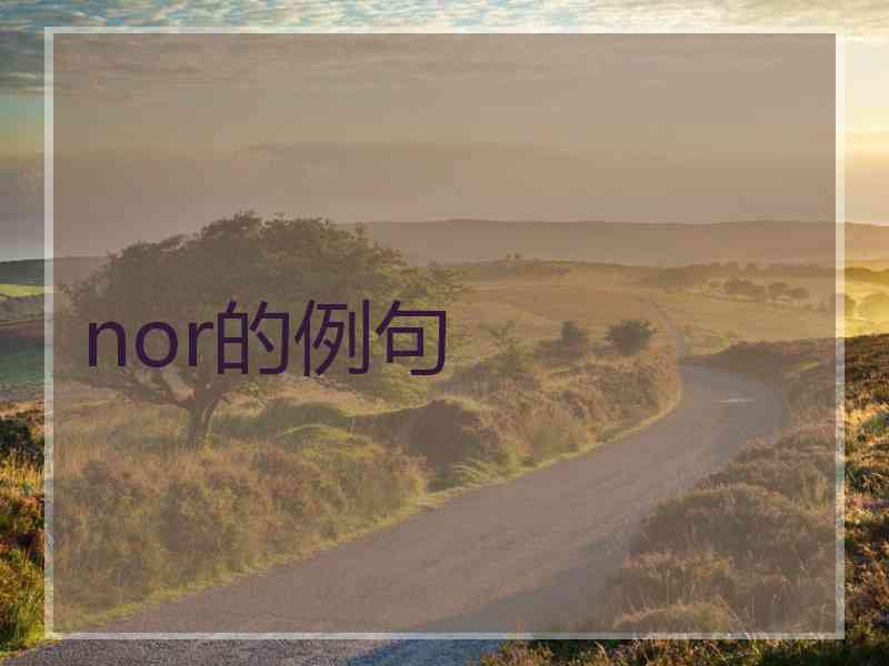 nor的例句