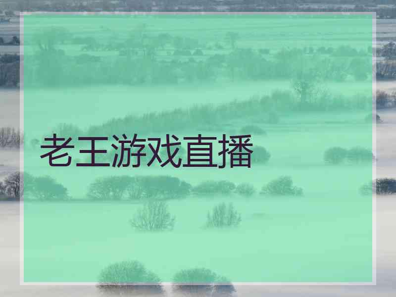 老王游戏直播