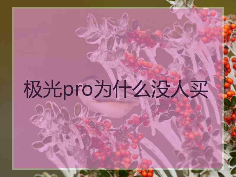 极光pro为什么没人买
