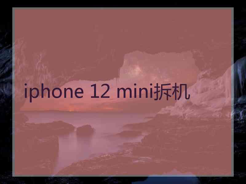 iphone 12 mini拆机
