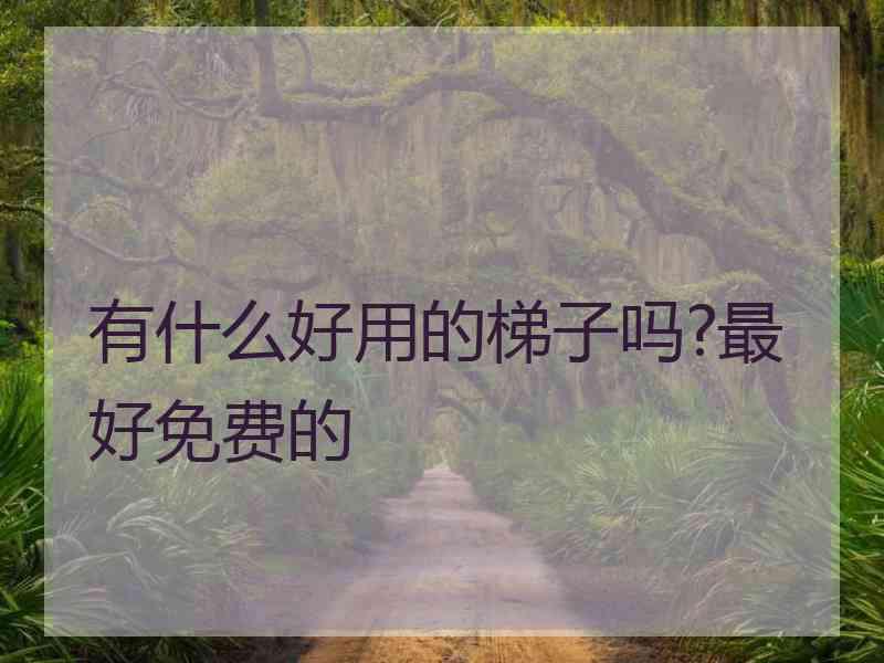 有什么好用的梯子吗?最好免费的