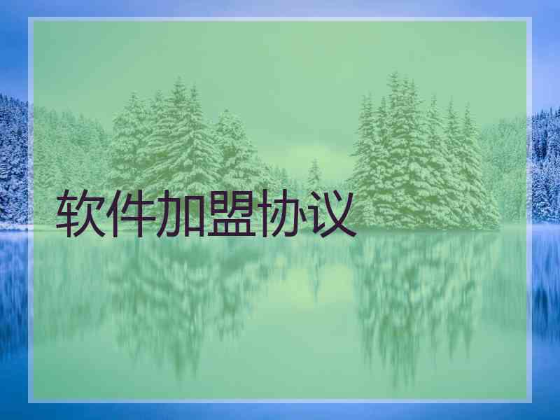 软件加盟协议