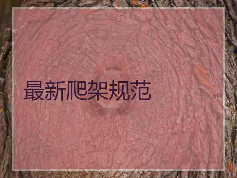 最新爬架规范