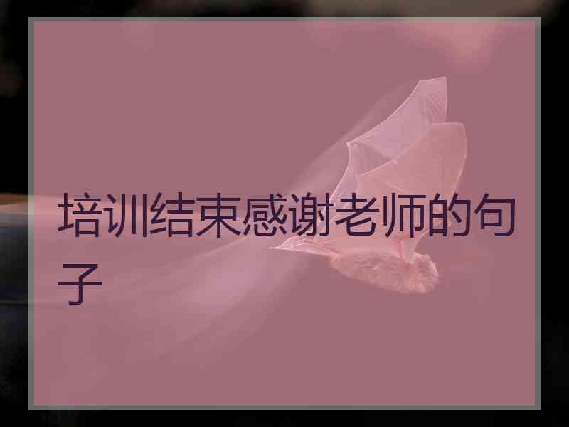 培训结束感谢老师的句子