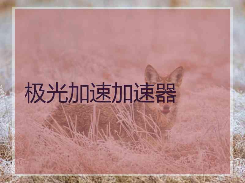 极光加速加速器