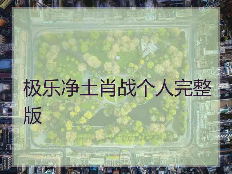 极乐净土肖战个人完整版