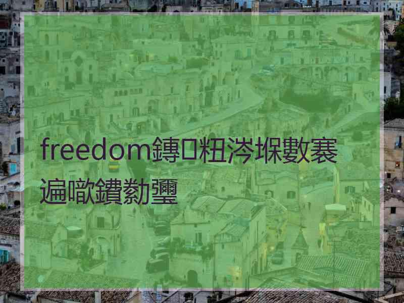 freedom鏄粈涔堢數褰遍噷鐨勬瓕