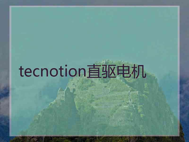 tecnotion直驱电机