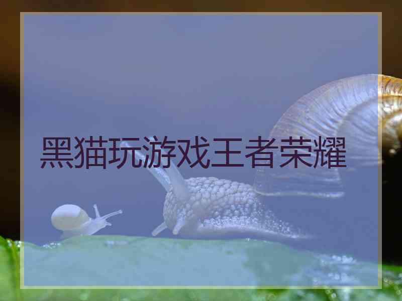 黑猫玩游戏王者荣耀
