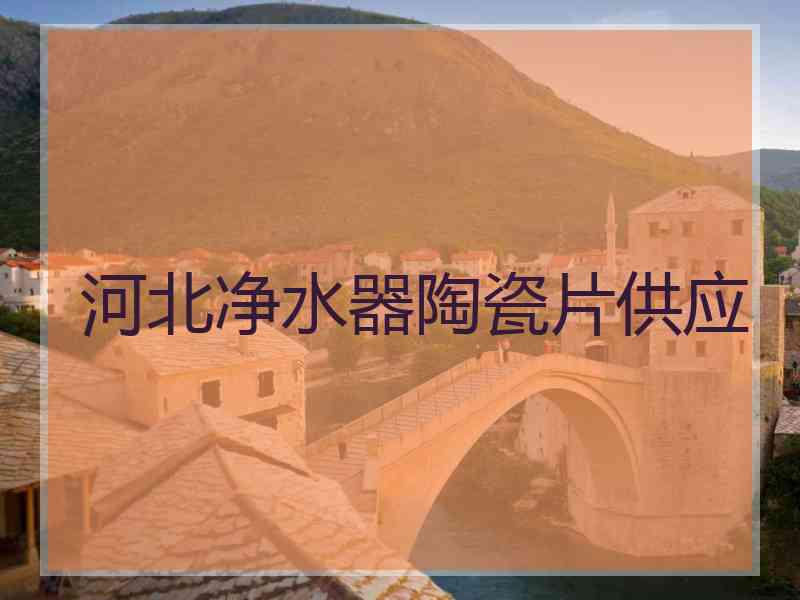 河北净水器陶瓷片供应