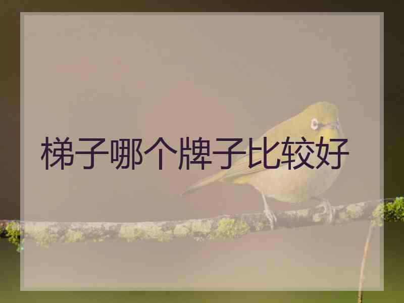 梯子哪个牌子比较好