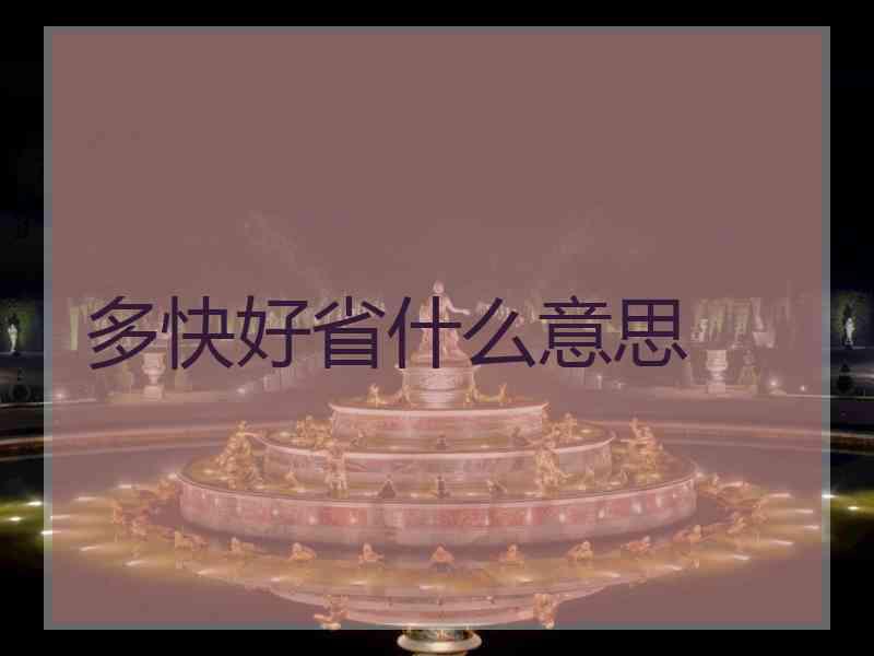 多快好省什么意思