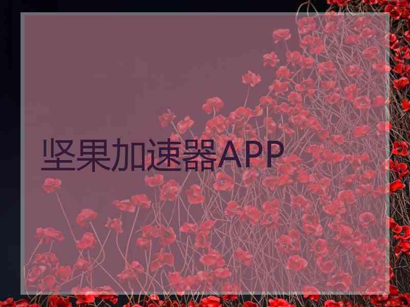 坚果加速器APP