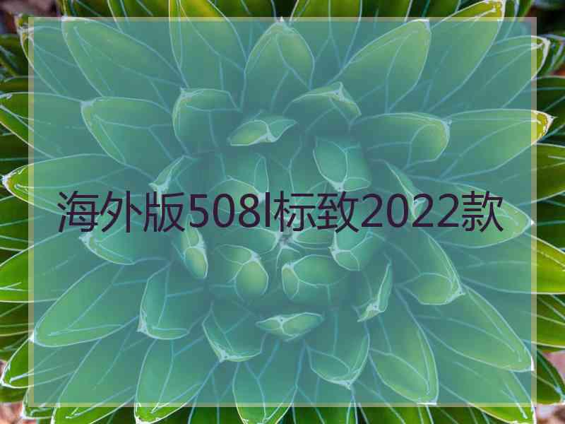 海外版508l标致2022款