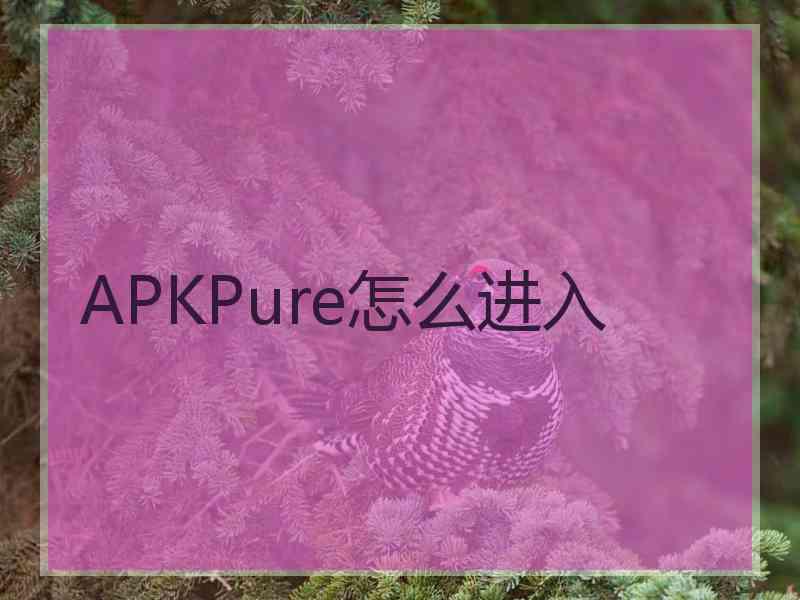 APKPure怎么进入
