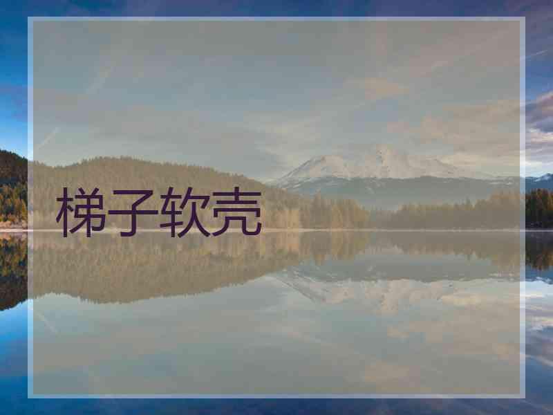 梯子软壳