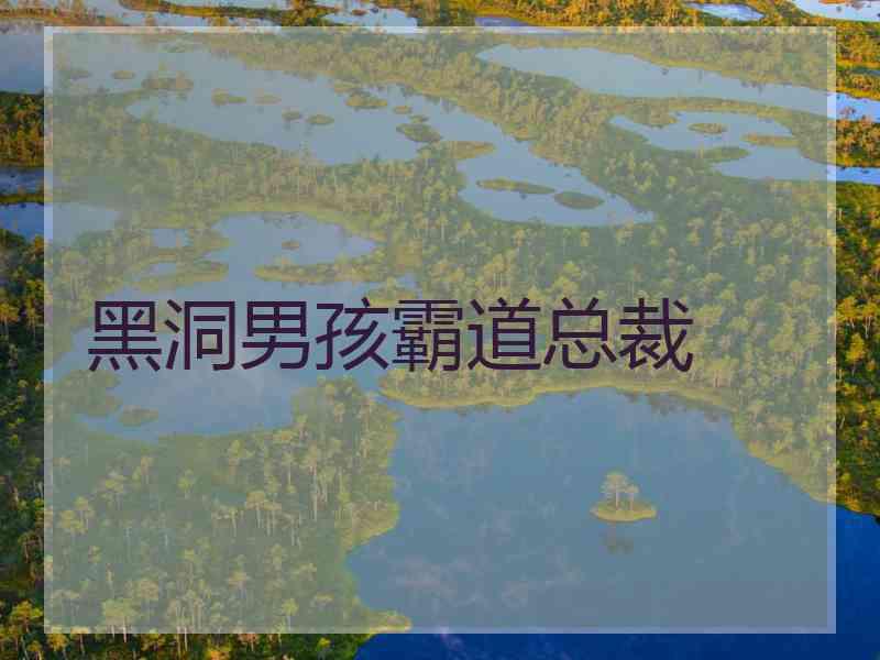 黑洞男孩霸道总裁