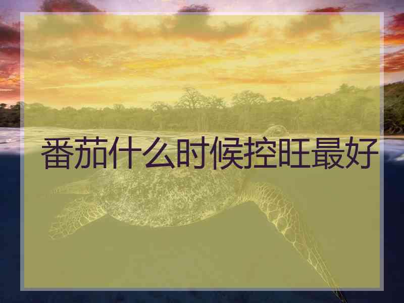 番茄什么时候控旺最好