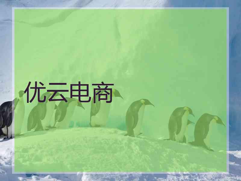 优云电商