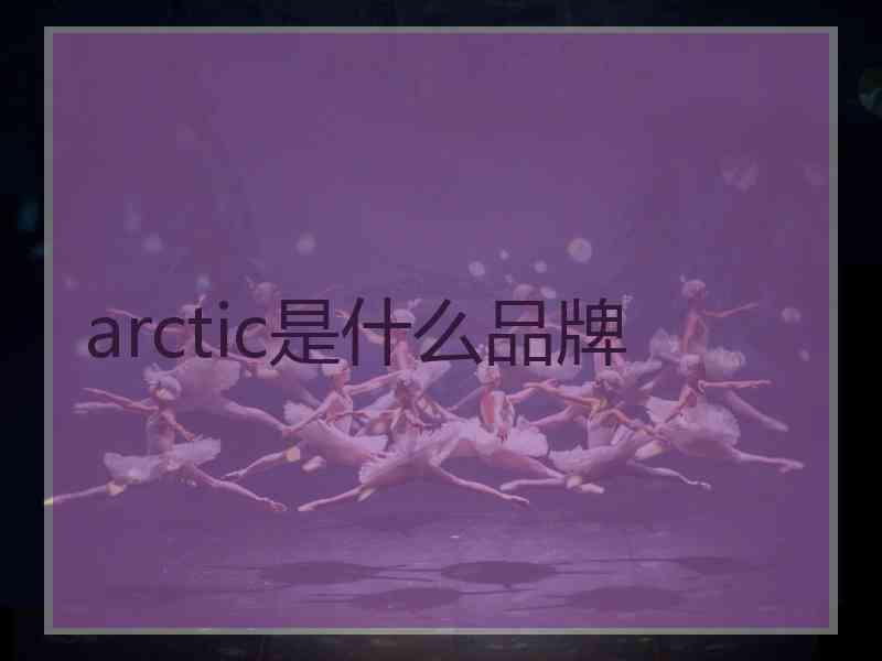arctic是什么品牌